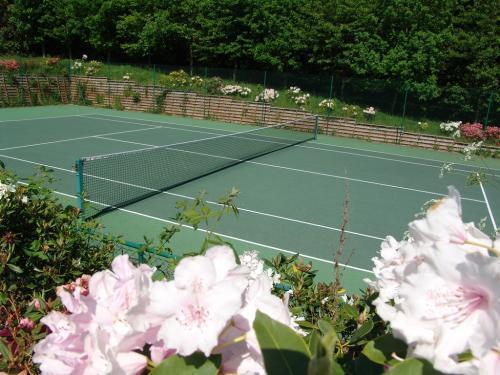 Hambledon House Bed & Breakfast Годалминг Екстериор снимка
