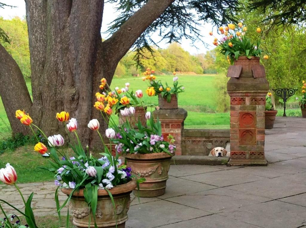Hambledon House Bed & Breakfast Годалминг Екстериор снимка